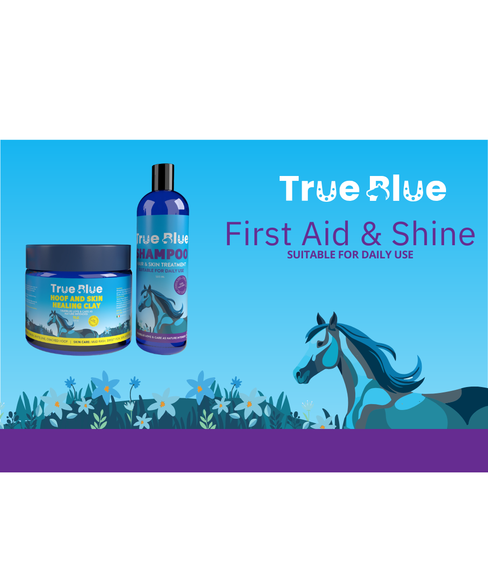 The First-Aid & Shine Pack: 1x Equine Clay (250g) + 1x Shampoo (300ml)